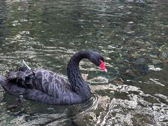 -水磨沟公园