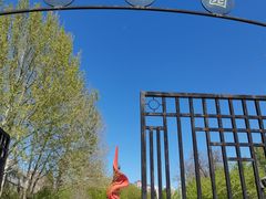 -桃花堤公园