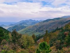 -四明山国家森林公园