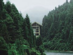 -武陵山森林公园