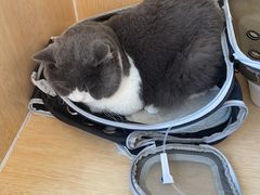 -美联众合动物医院·24h京西诊疗中心