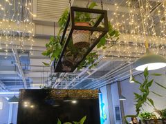 -京城·森鸽排档(双井店)