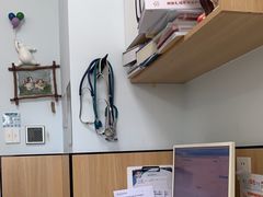 -瑞派长江宠物医院·猫科·外科·24小时夜护(谊城公寓分院)