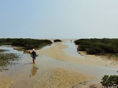 -北海金海湾红树林生态旅游区