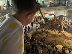 -自贡恐龙博物馆