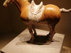 -宁夏博物馆