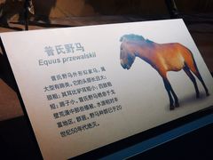 -大庆市博物馆
