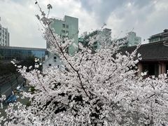 -杭州市第一人民医院(湖滨院区)