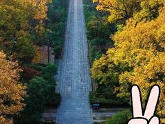 -灵谷景区
