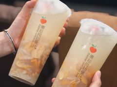 海盐黄皮-潮汕良心果汁(金新北路店)