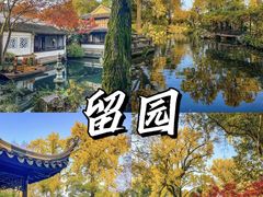 -留园