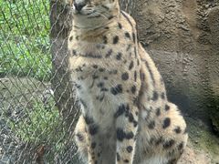 -杭州野生动物世界
