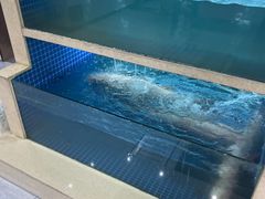 -湘湖旅游度假区-湘湖渔村停车场