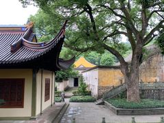 -阿育王寺