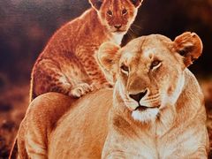 -罗红摄影艺术馆