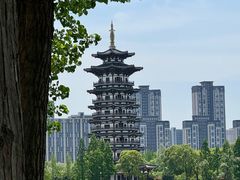 -洋湖国家湿地公园