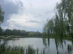 -北坞公园