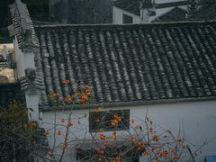 -塔川景区