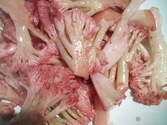 -九毛九西北菜(大东海店)