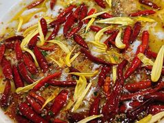 -新太二·鲜料川菜(万泰汇店)