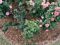 -人民公园(罗湖区)