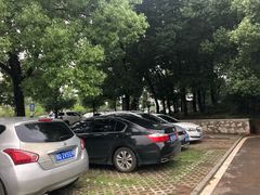 -东湖磨山景区樱花园-停车场
