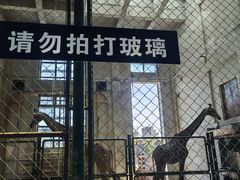 -太原动物园