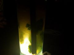 -HUNTING BAR亨霆鸡尾酒馆(越秀淘金店)