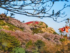 -泰山风景名胜区