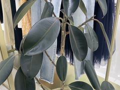 -泰合玺·精油疗愈SPA(南京光环花园城店)