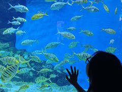 -成都浩海立方海洋公园