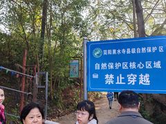 -五凤山森林公园