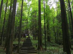 -武陵山森林公园