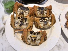 -半岛听涛蒸汽海鲜自助(K11店)