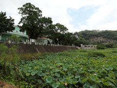 -龙环葡韵住宅式博物馆