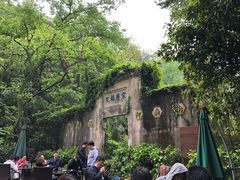 -十八棵（老龙井）御茶园(老龙井店)
