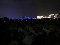 -月湖风景区