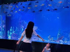 -南昌融创海世界