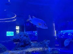 -上和臻品中国菜(花园街店)