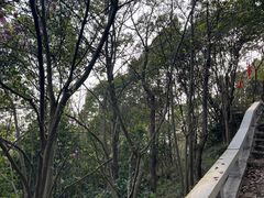 -雨花胜境