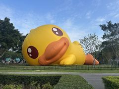 -东南花都花博园