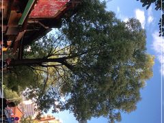 -李记 河口老字号越南小卷粉