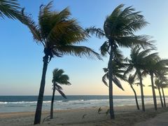 -海南清水湾莱佛士酒店