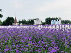 -渔岛海洋度假区