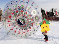 -绿野森林乐园冰雪季