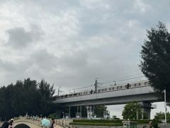 -宝安西湾红树林湿地公园