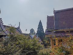 -报恩禅寺