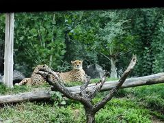 -北京野生动物园