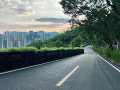 -板樟山森林公园