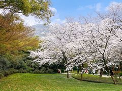 -中国茶叶博物馆(双峰馆区)